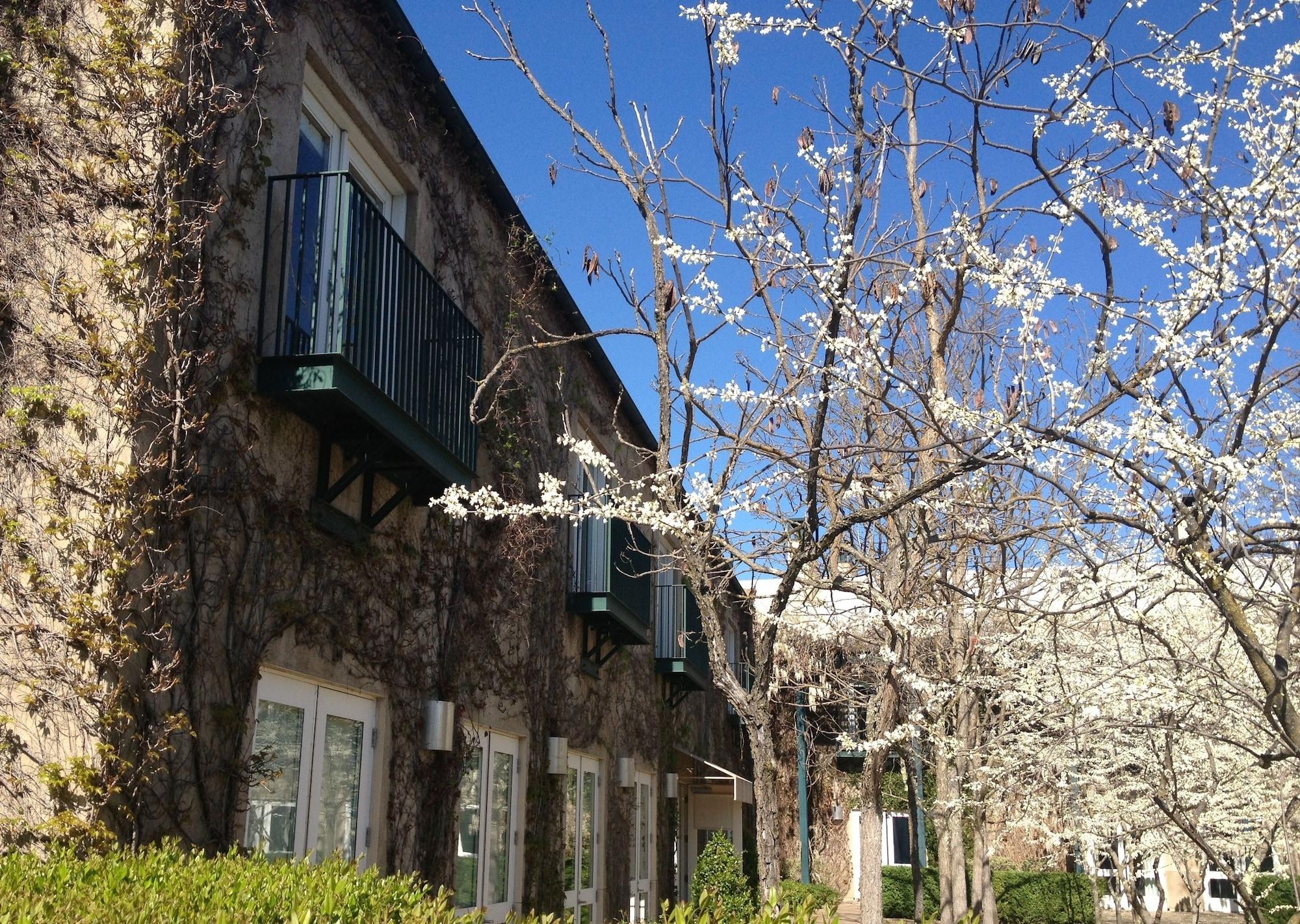 Southbridge Napa Valley St. Helena Exterior foto